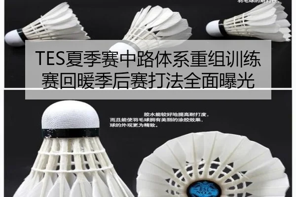TES夏季赛中路体系重组训练赛回暖季后赛打法全面曝光